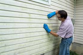 Best Siding Painting and Refinishing  in Lonoke, AR